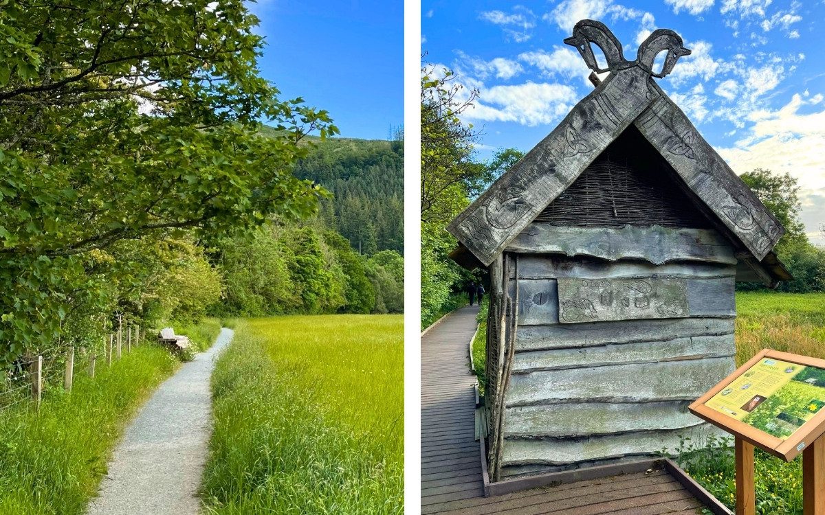 Split view showing a gravel walking path through a lush green grass meadow and a rustic wooden bird hide shelter along the accessible wetland boardwalks.