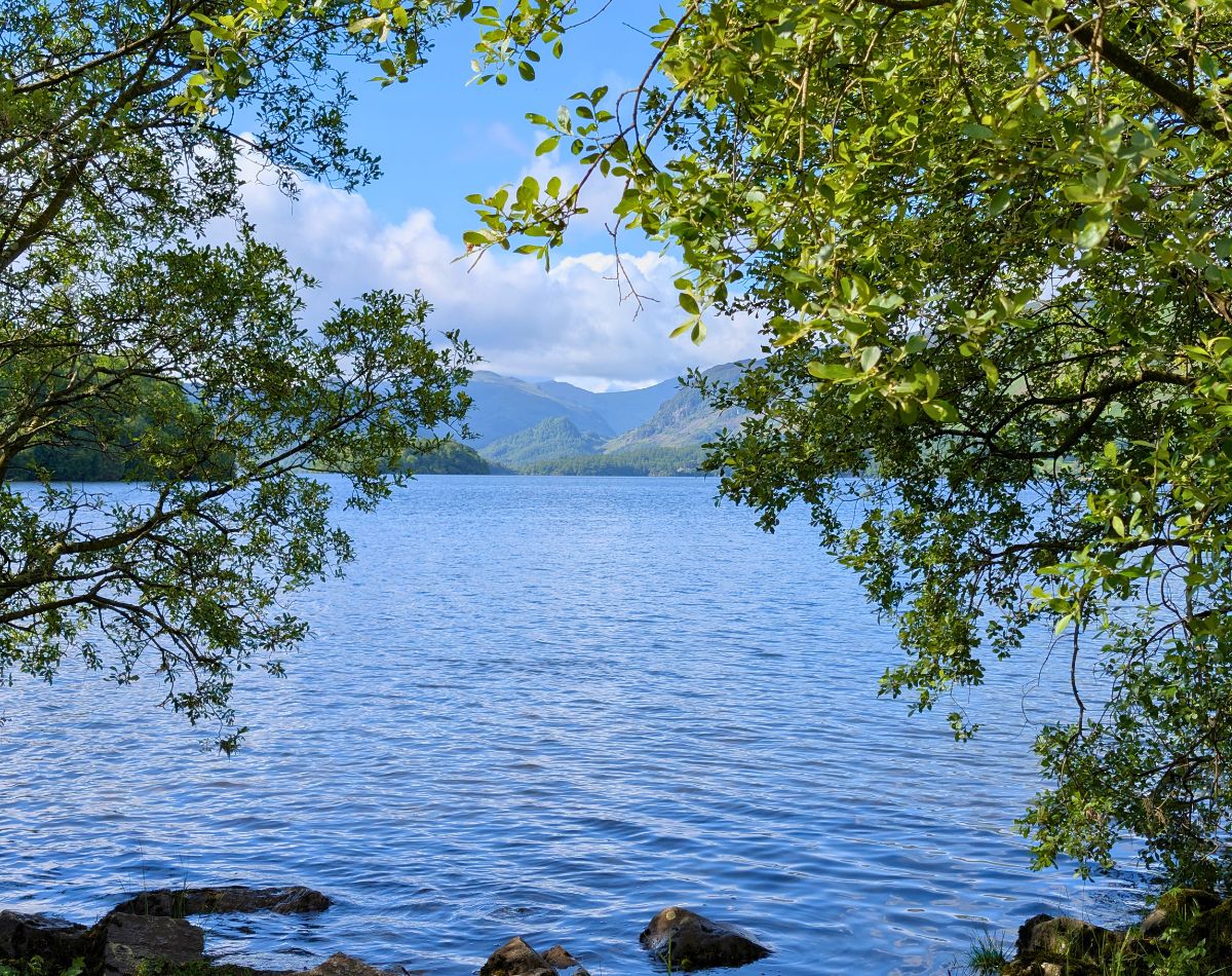 High lake water flooding the shoreline trees at the Isthmus on Derwent Water, looking across to Catbells under a blue sky.