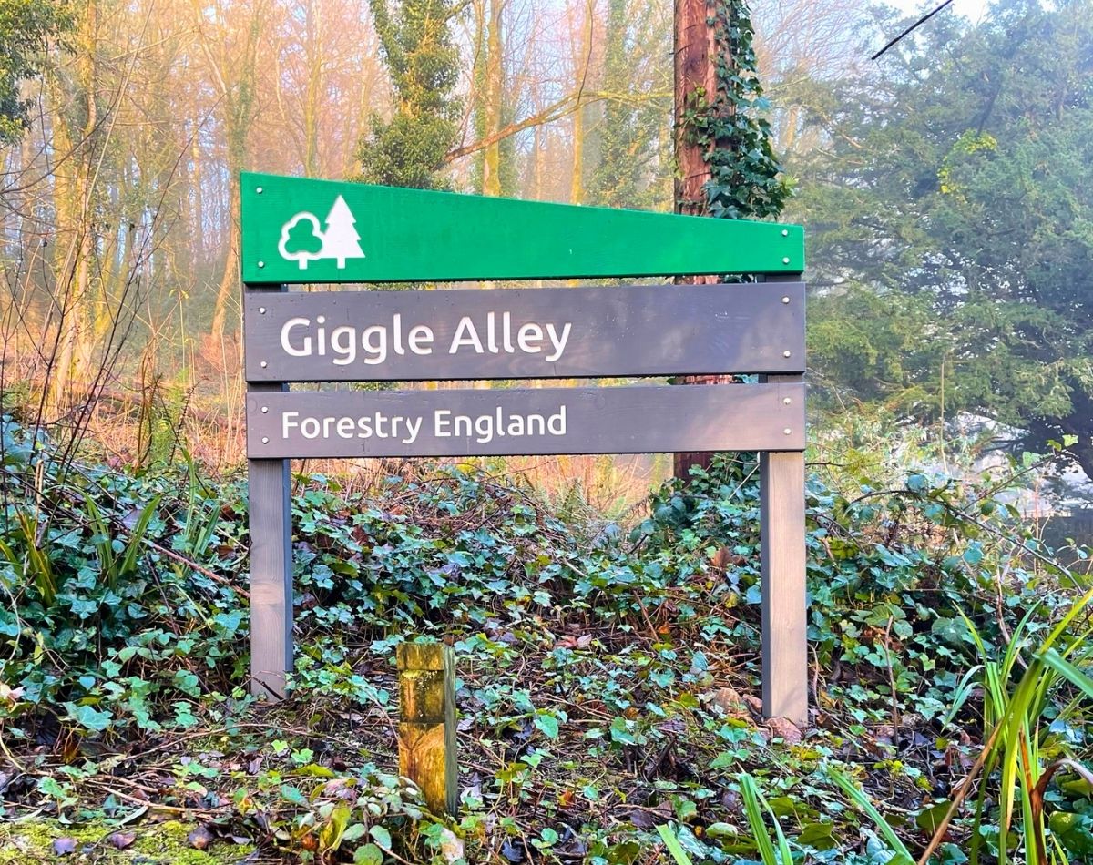 Wooden Forestry England sign for Giggle Alley surrounded by ferns, ivy, and woodland greenery in the Western Lake District.