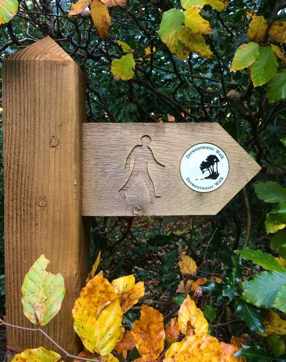 A rustic wooden public footpath signpost indicating the route for the Derwent Water Walk trail under a canopy of green trees.
