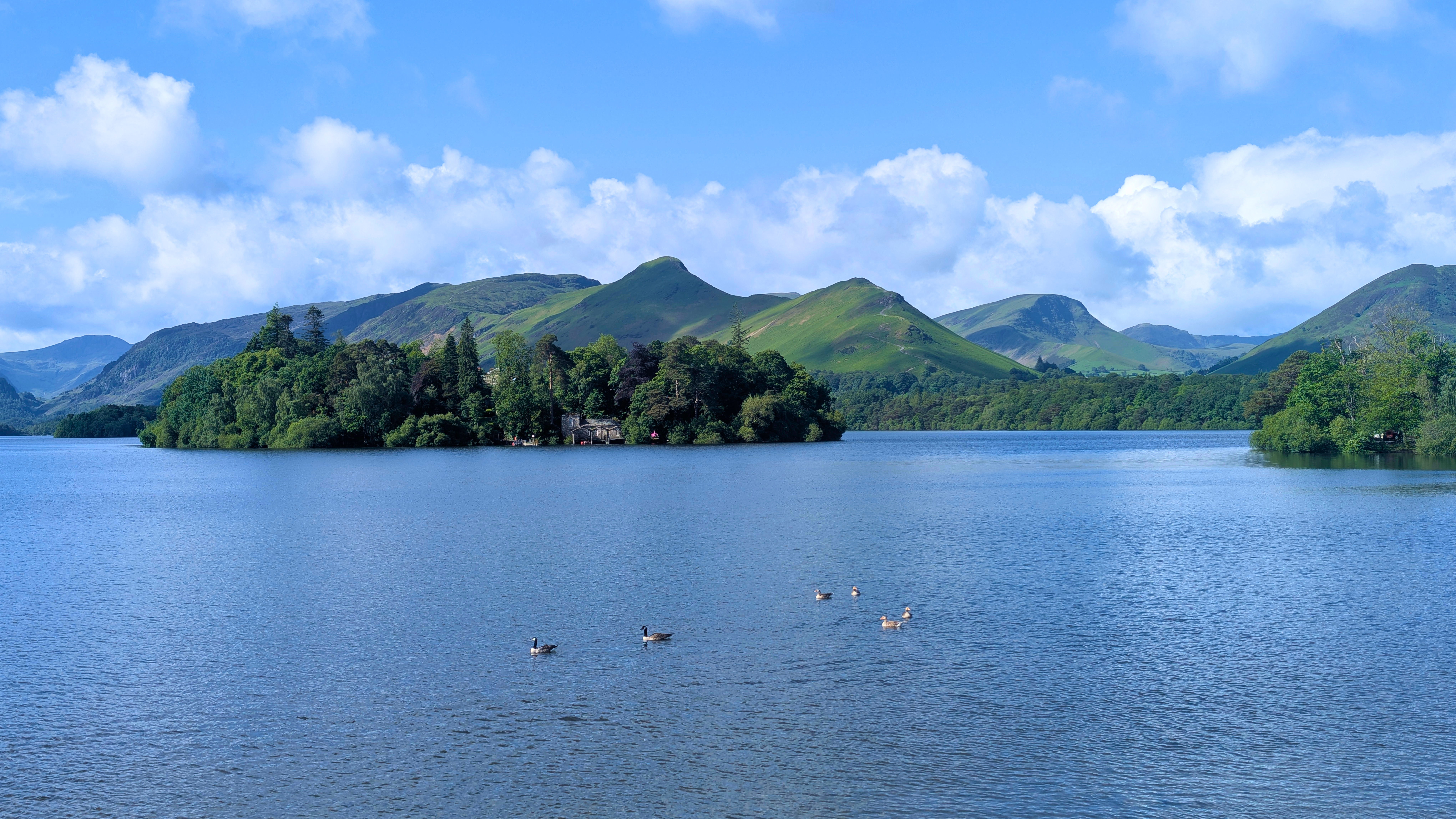 A vibrant summer view across the bright blue waters of Derwentwater, featuring swimming geese in the foreground, the tree-covered Derwent Isle, and the clear green slopes of the Catbells mountain range under a partly cloudy sky.