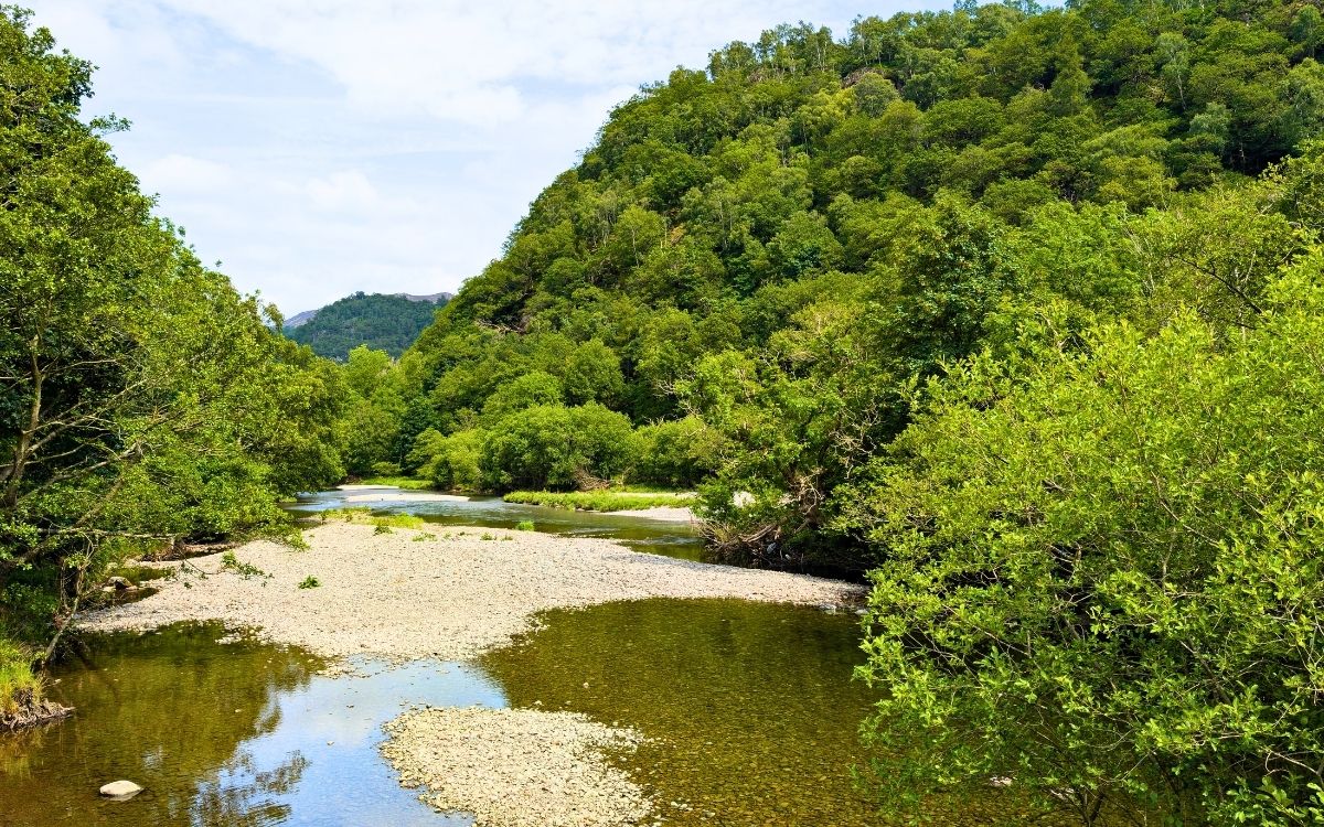 Looking downstream from Grange Bridge along the River Derwent in Borrowdale, showing a wide, shallow riverbed with white pebble beaches surrounded by thick green woodland.