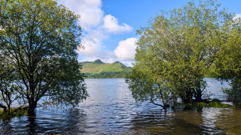 High water levels on the Isthmus shore of Derwentwater with partially submerged green trees framing a clear, vibrant view across the blue lake to the prominent peak of Catbells under a sunny, cloud-dappled sky.