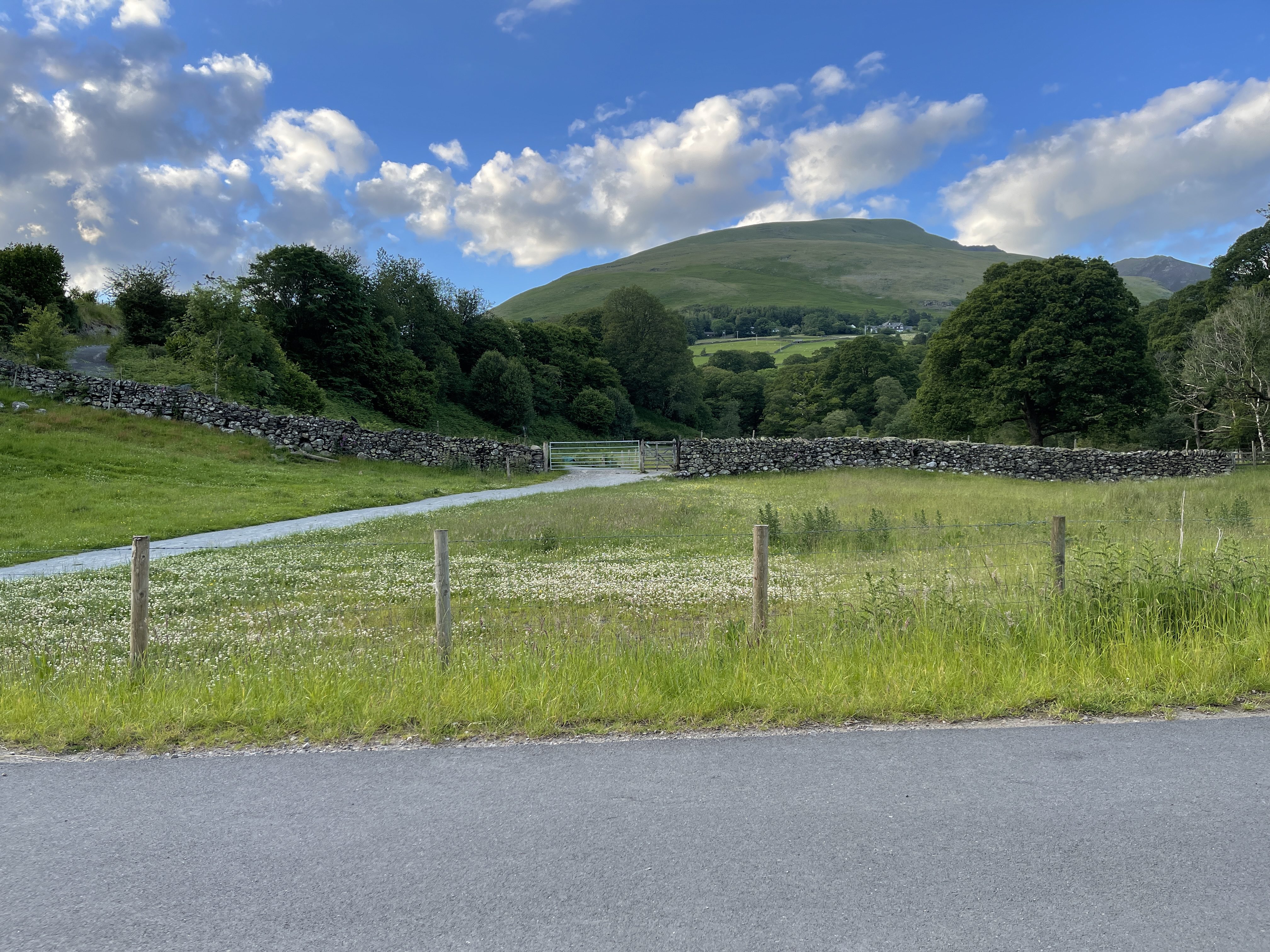 A picturesque view from the first hut on the Keswick to Threlkeld trail, featuring a smooth paved path leading to a traditional Cumbrian dry stone wall, a field of white summer wildflowers, and the towering green peak of Blencathra mountain under a blue, cloudy sky.