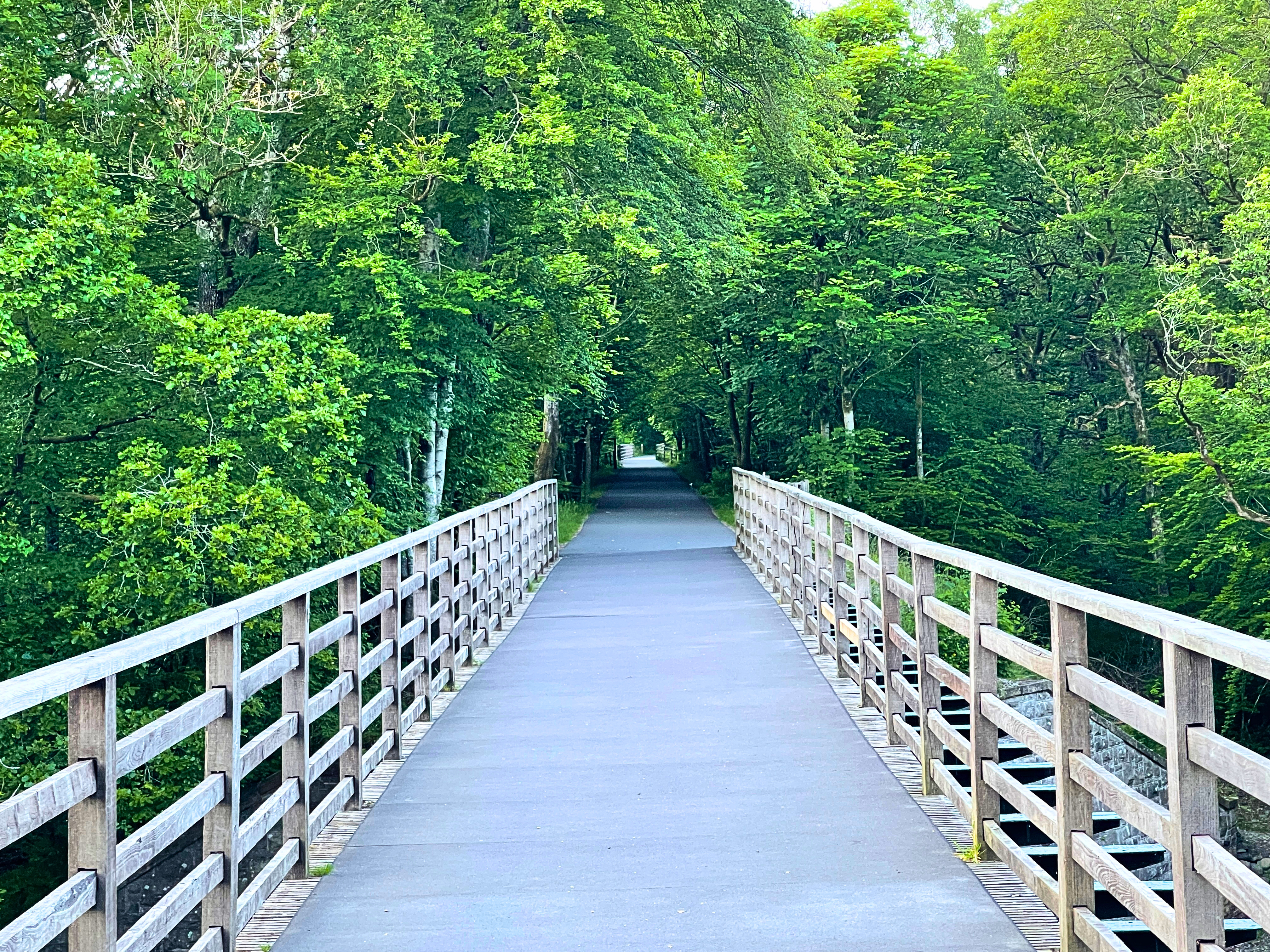 A wide, smooth paved walking path crossing a modern bridge with wooden railings, leading directly into a vibrant, dense green summer forest canopy on the Keswick to Threlkeld railway path.