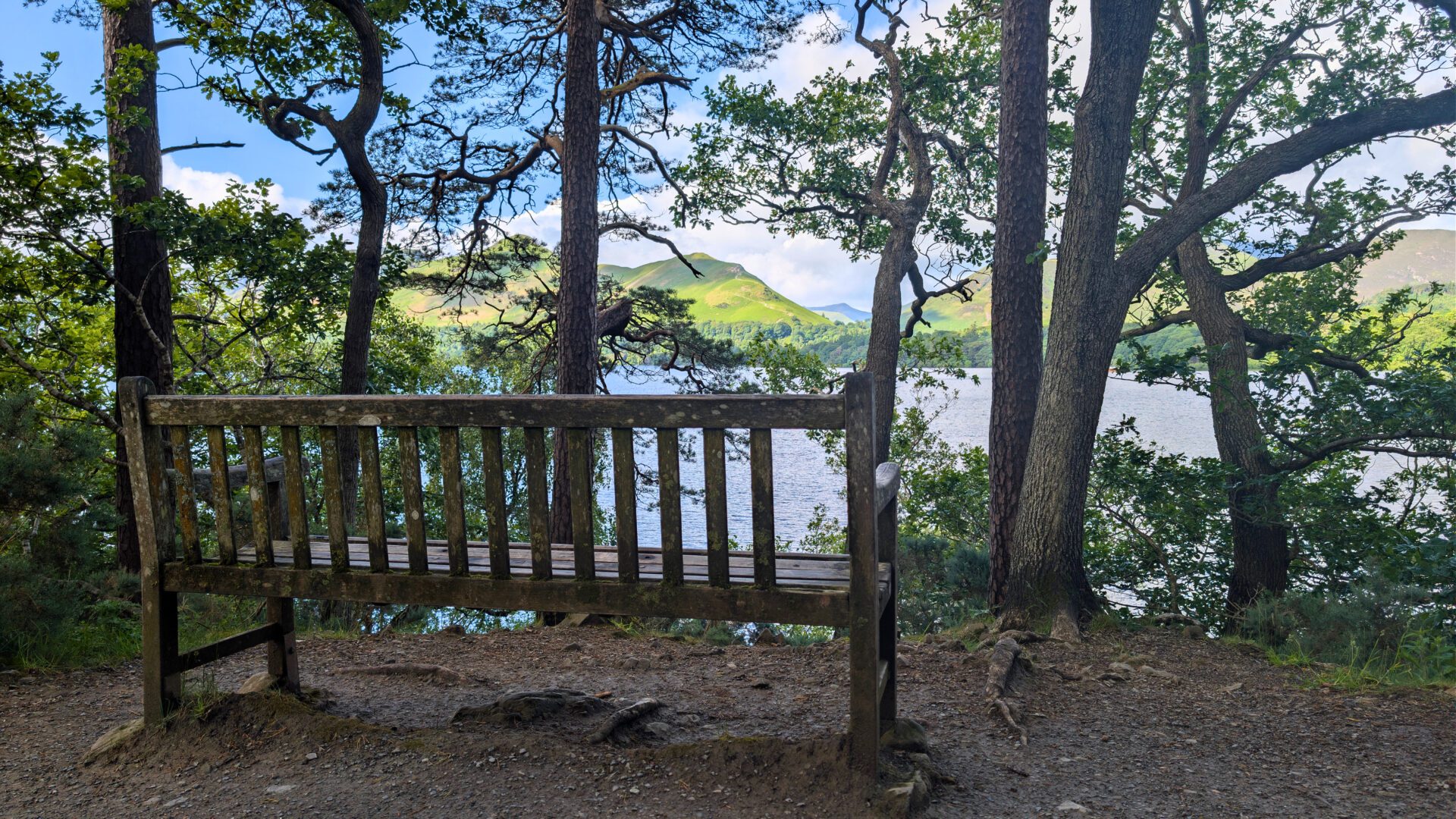 Empty bench overlooking Catbells on the Derwentwater walk. A weathered wooden bench nestled among tall trees on the path just before Friars Crag, offering a peaceful, framed view over the bright blue waters of Derwent Water towards the sunlit green slopes of Catbells.
