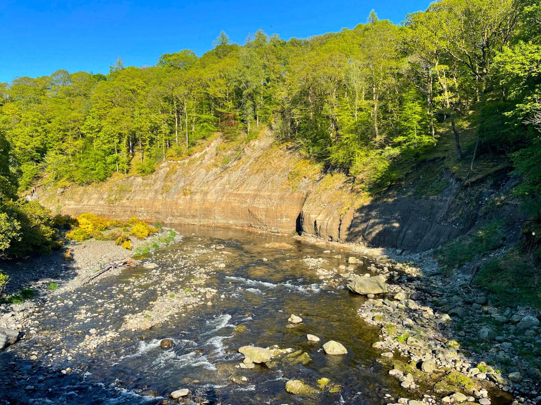 A wide, bright view of the rocky River Greta showing a massive, steep, exposed earth bank caused by historic flood erosion. Lush green trees line the top of the cliff under a clear blue summer sky.