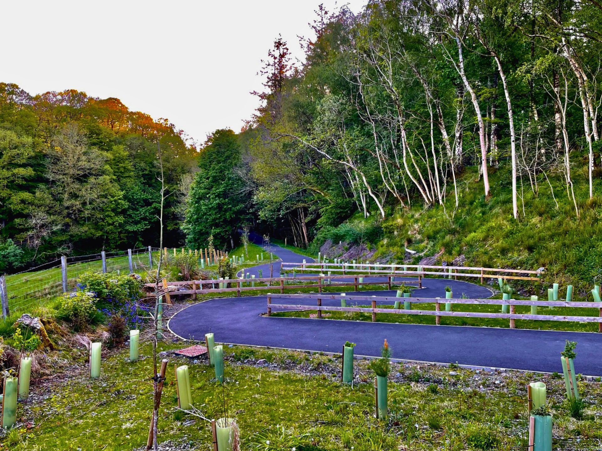 A smooth, paved black tarmac path zigzagging up a gentle hill. The path is lined with wooden fences and surrounded by green grass, newly planted saplings in protective tubes, and a dense woodland area, marking the final section of the Keswick to Threlkeld trail.