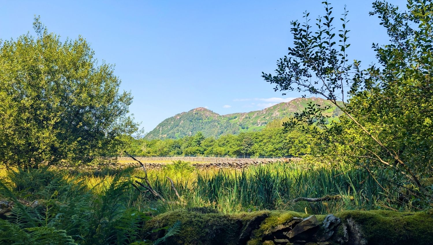 A peaceful landscape view looking out over the rugged, green Borrowdale Fells, taken from the walking path between the villages of Seatoller and Rosthwaite.