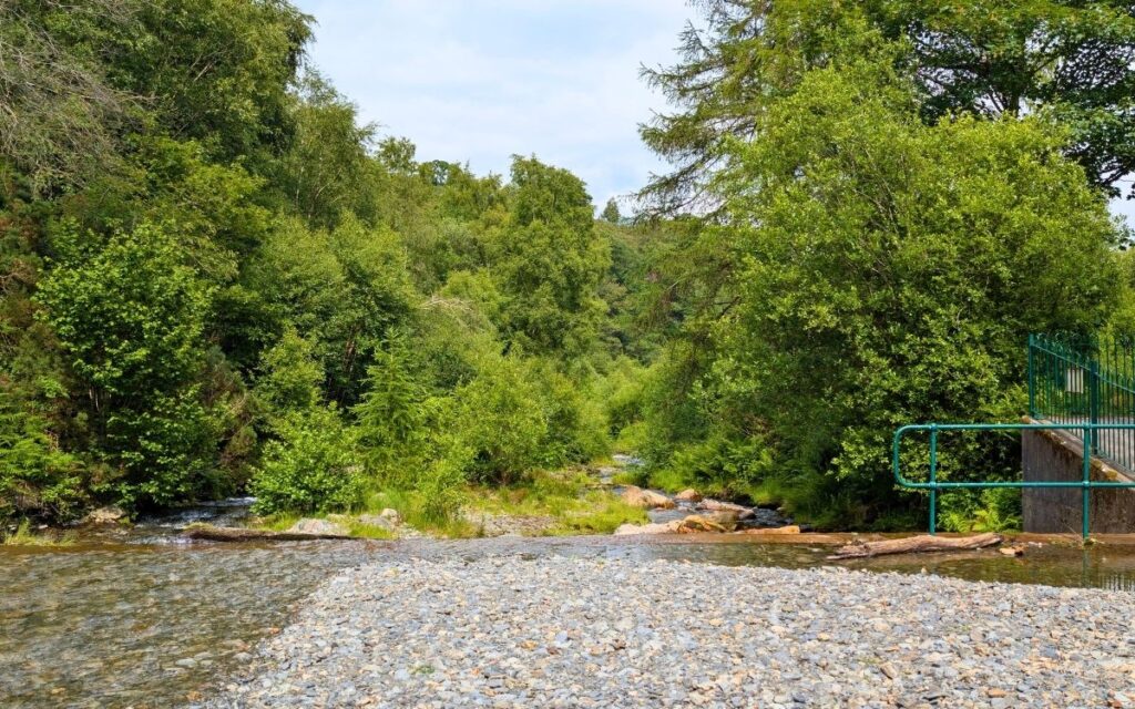 View looking downstream from the gravel island at Braithwaite Dam on Coledale Beck, showing the clear water, green metal railings, and surrounding lush woodland near Keswick.