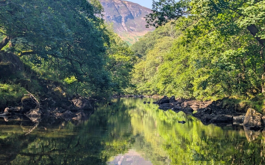 Calm, crystal-clear waters of the River Derwent reflecting the lush green woodland canopy, looking downstream along the riverside trail between Rosthwaite and Grange with high fells rising in the background.