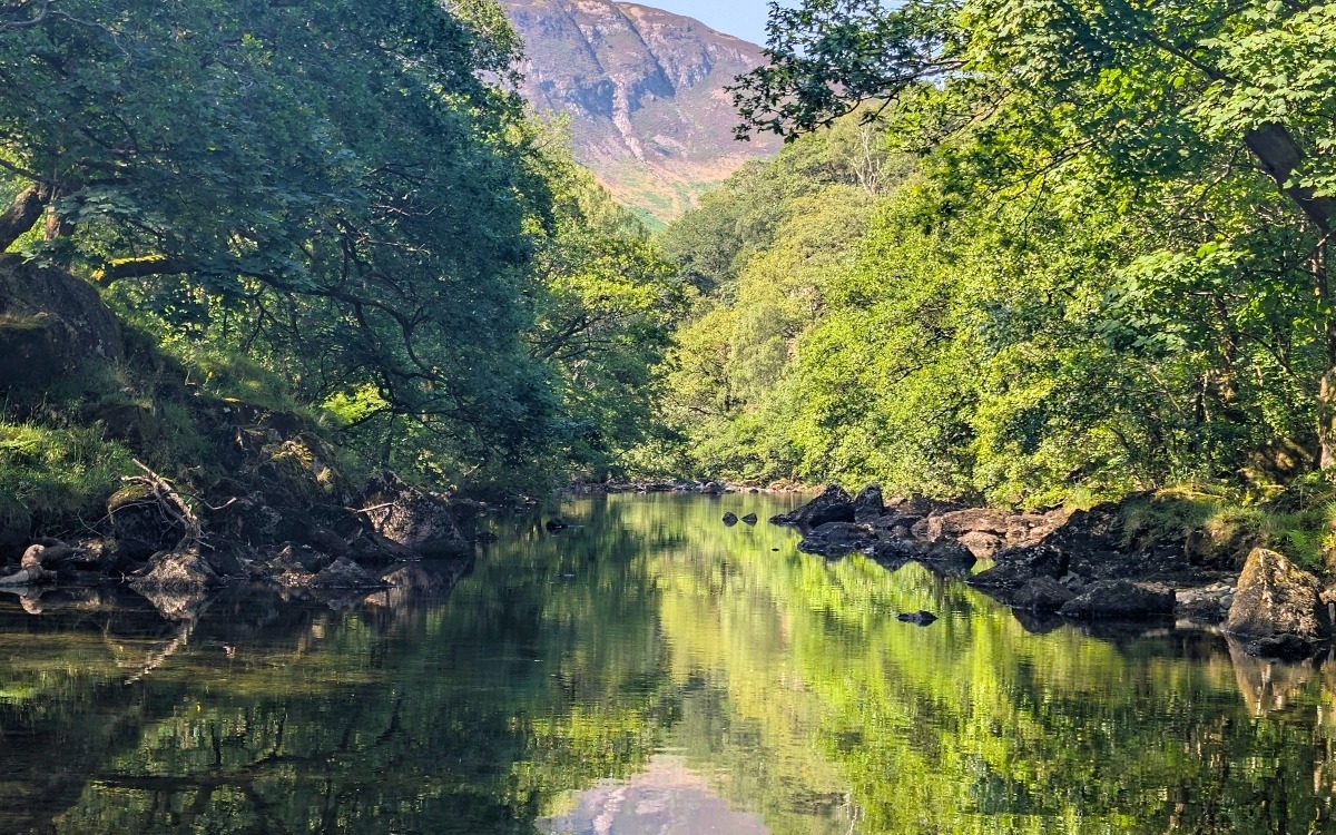 Calm, crystal-clear waters of the River Derwent reflecting the lush green woodland canopy, looking downstream along the riverside trail between Rosthwaite and Grange with high fells rising in the background.