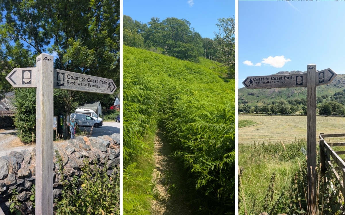 Wooden Coast to Coast path signpost at Seatoller car park with a narrow summer trail cutting through lush green bracken towards Rosthwaite in Borrowdale.