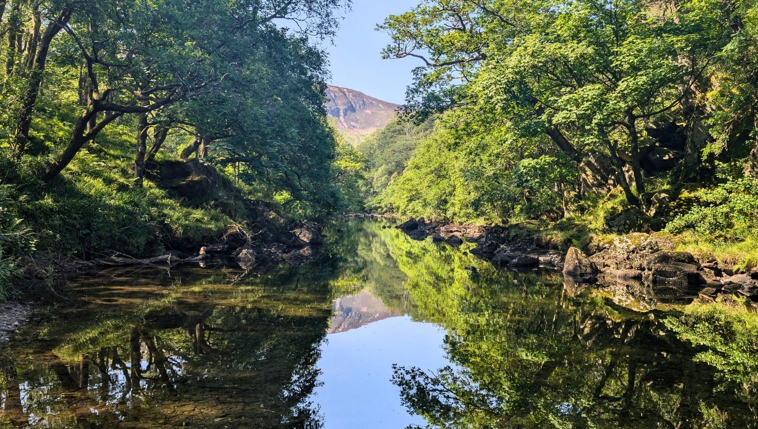 A long, perfectly straight and calm section of the River Derwent flowing through the lush green Borrowdale valley between Rosthwaite and Grange on a bright summer day.