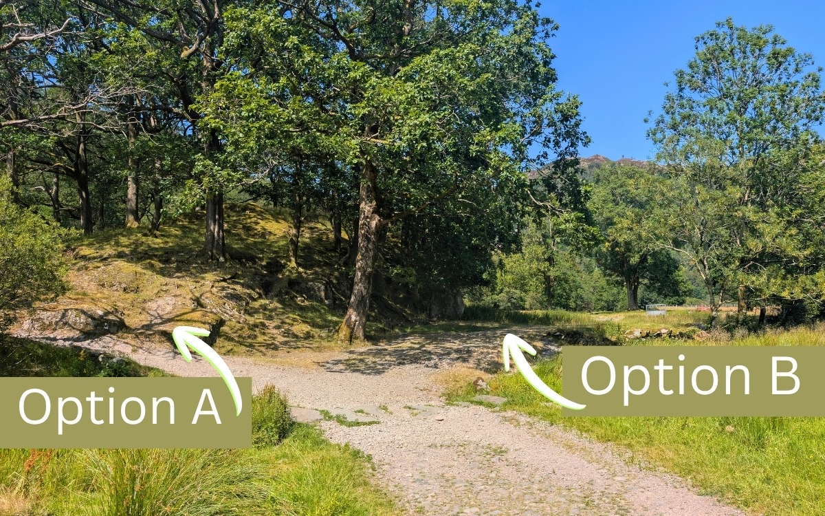 Gravel trail fork in Borrowdale clearly labeled with Option A bearing left toward the higher Castle Crag bridleway and Option B bearing right descending toward the River Derwent.