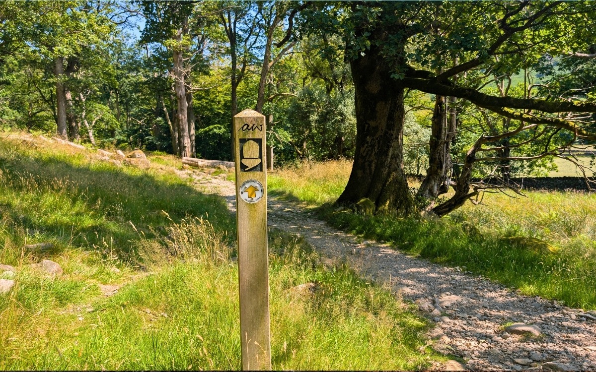 Wooden Coast to Coast National Trail waymarker post featuring the Alfred Wainwright acorn emblem beside a dappled gravel woodland path between Seatoller and YHA Borrowdale.