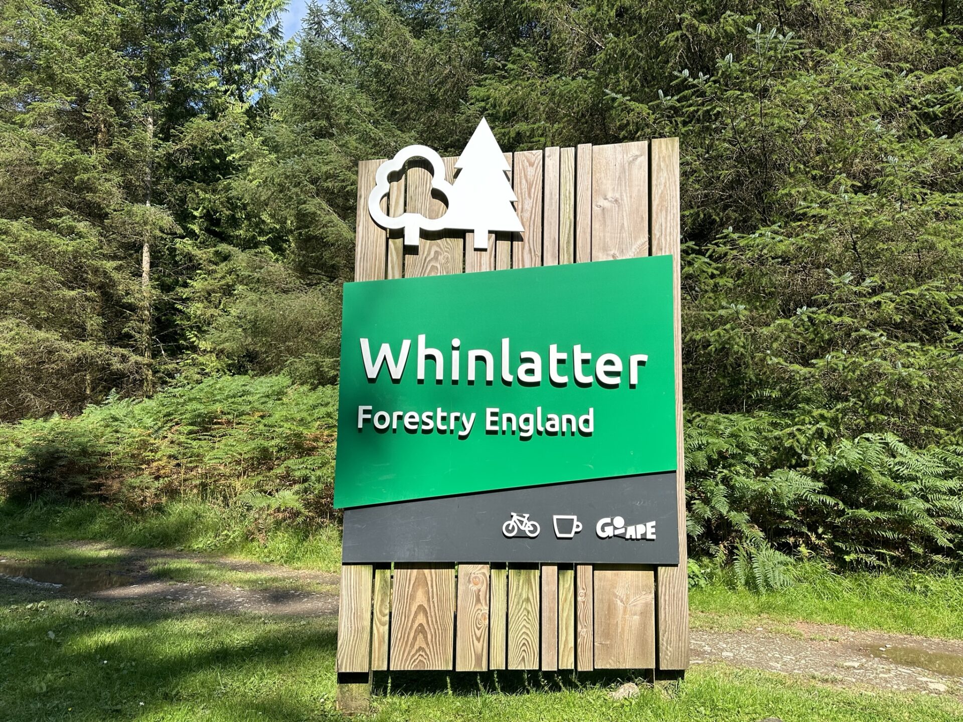 Green and timber Forestry England entrance sign for Whinlatter Forest near Braithwaite and Keswick, showing mountain biking, cafe and Go Ape icons.